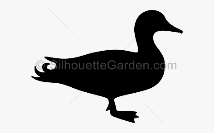Wood Duck Clipart Silhouette Flying - Mallard Duck Silhouette Clip Art, Transparent Clipart