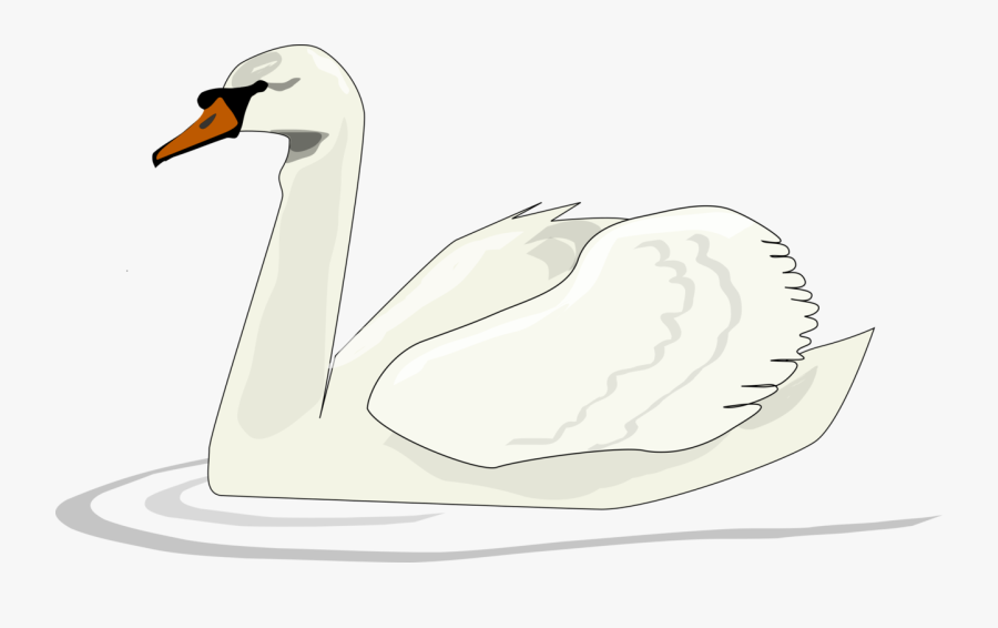 Duck,line Art,water Bird - Clip Art Swan, Transparent Clipart