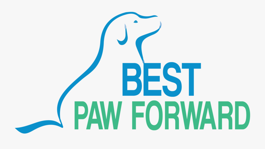 Clipart Dog Training, Transparent Clipart