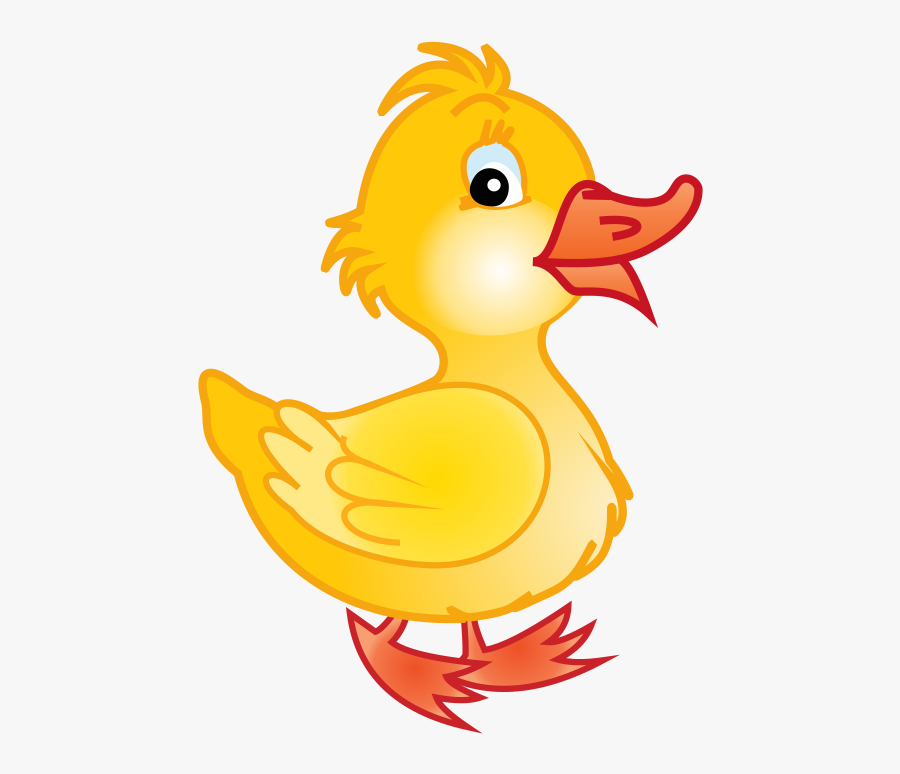 Wendys Play And Preschool - Duck In Cartoon , Free Transparent Clipart