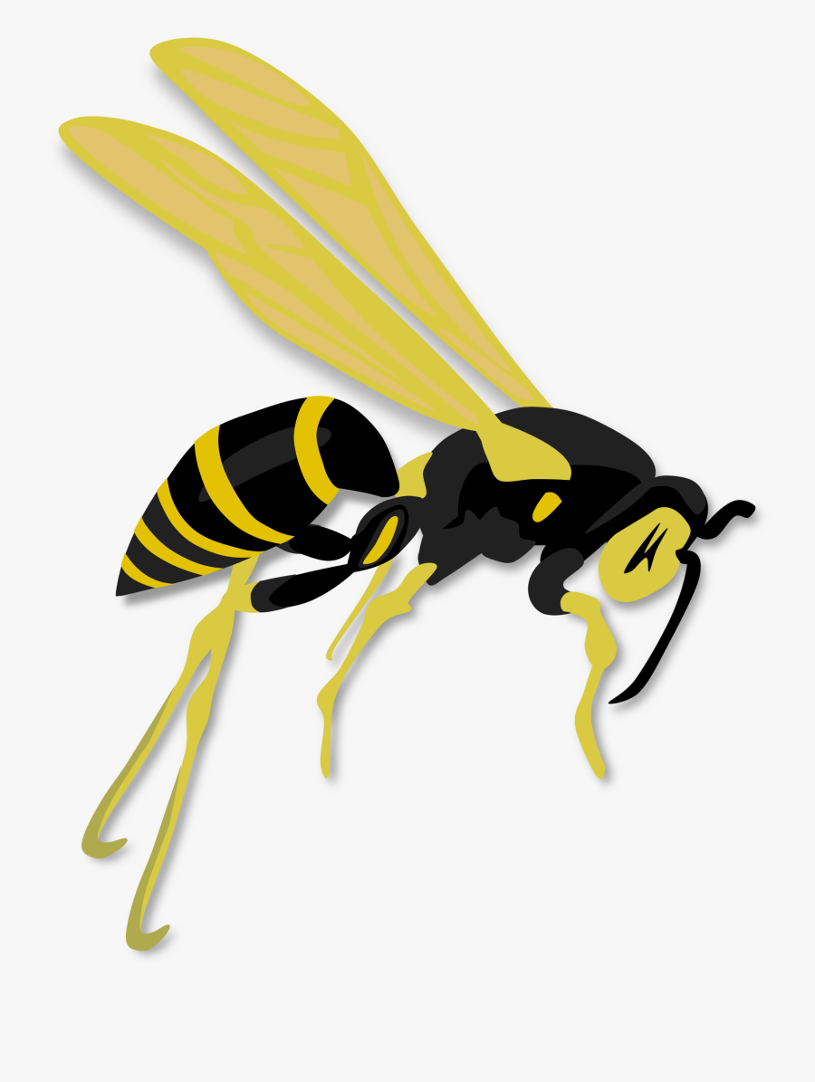 Flying Wasp - Wasp Clipart, Transparent Clipart