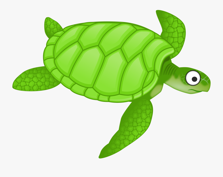 Cartoon Sea Turtle Sea Turtle Free Images On Pixabay - Green Sea Turtle Clipart, Transparent Clipart