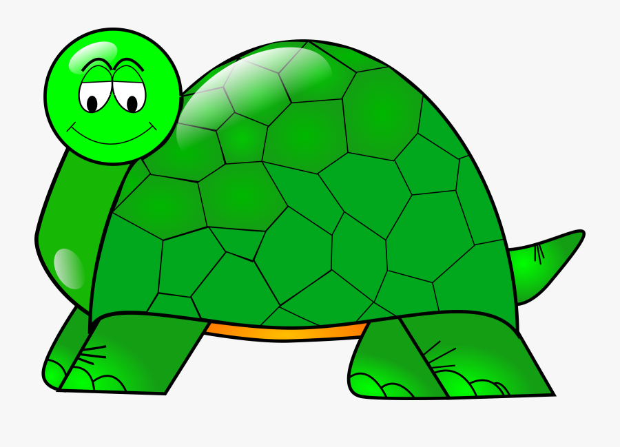 Turtle,reptile,tortoise - Turtle Clip Art, Transparent Clipart