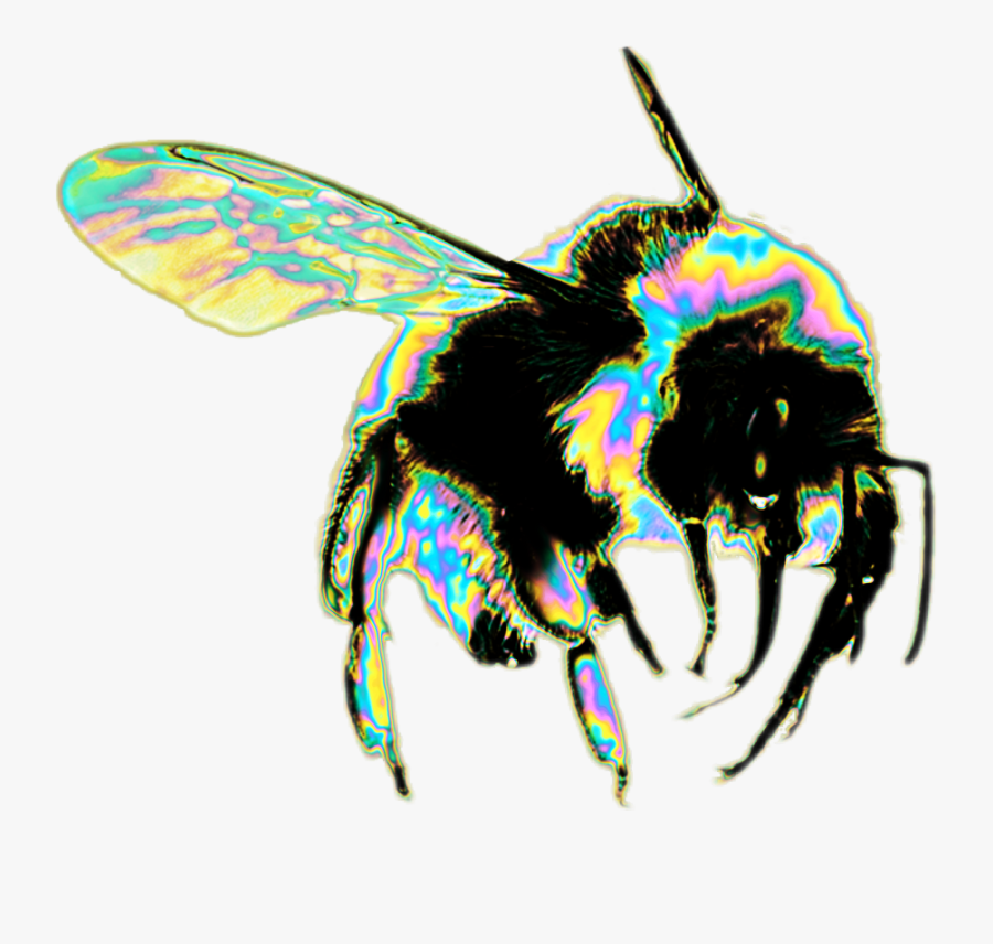 Hornet Pick Of - Bee Png, Transparent Clipart