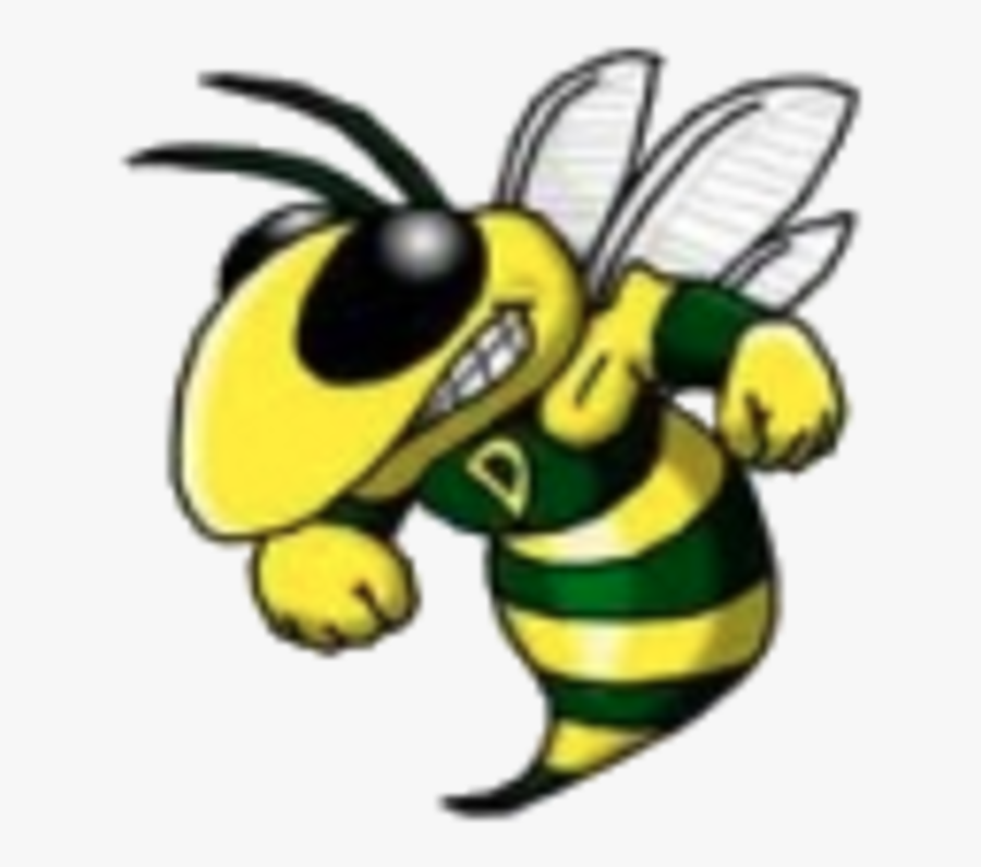 Maryland High School Lacrosse Scores - Damascus High School Logo, Transparent Clipart