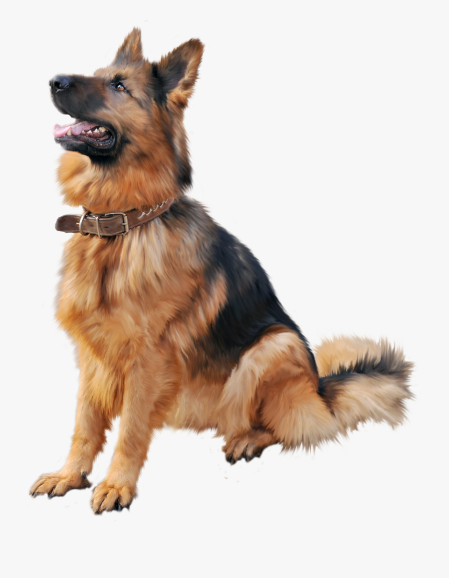 Training Shock Dog Cat Collar Cartoon Clipart - German Shepherd Dog Png, Transparent Clipart