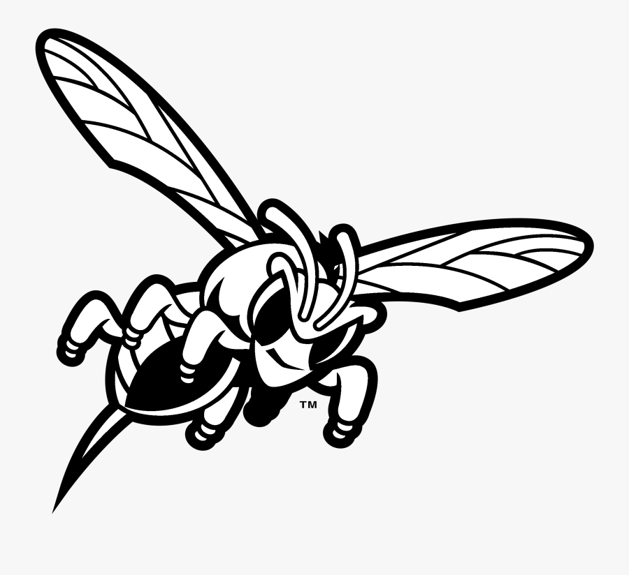 Delaware State Hornets Logo Black And White - Hornets Delaware State University Logo, Transparent Clipart