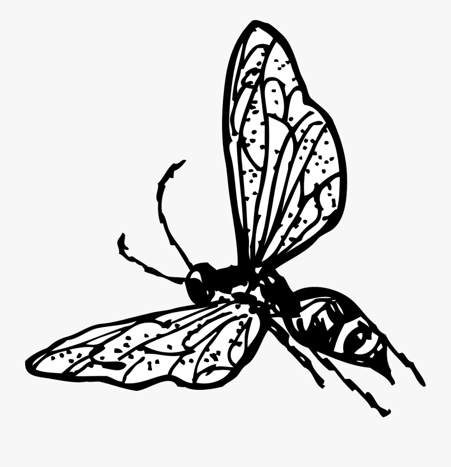 Wasp Clip Art, Transparent Clipart