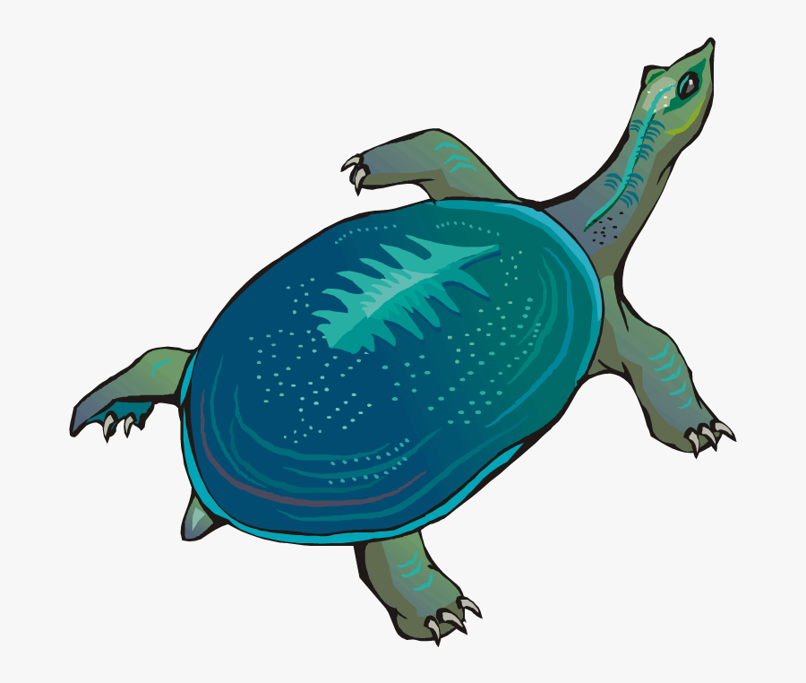 Free Turtle Clipart - Leathery Clipart, Transparent Clipart