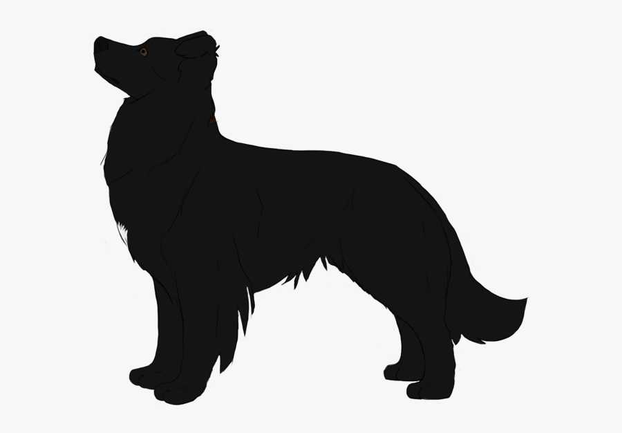 Training Schipperke Smitten Frame Breed Obedience Dog - Companion Dog, Transparent Clipart