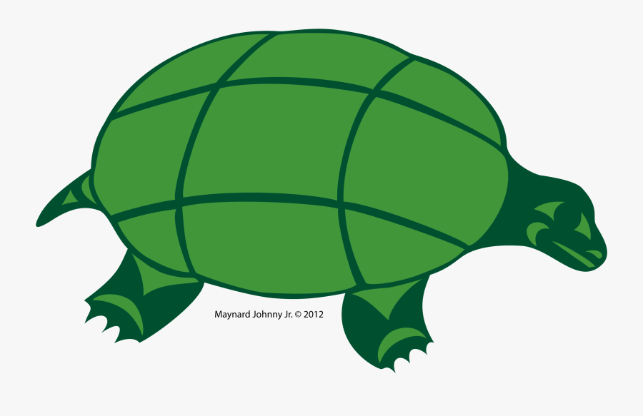 Turtle-sqiilqwuqs Clipart , Png Download - Colour Of Turtle, Transparent Clipart