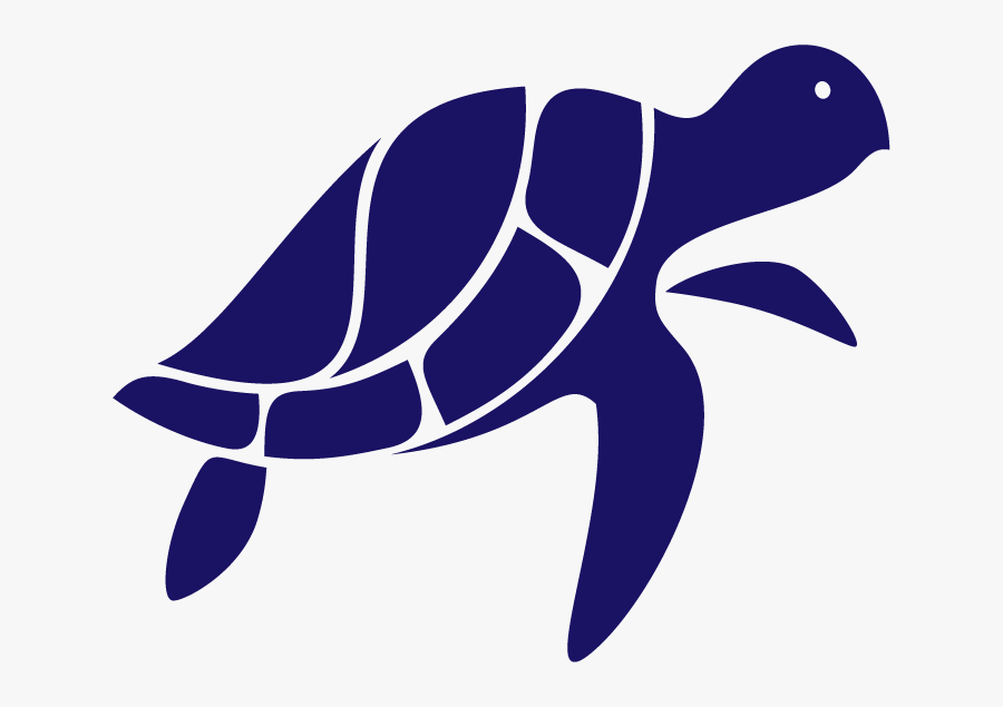 Awkward Turtle Travels - Turtle Straw Company Logo, Transparent Clipart