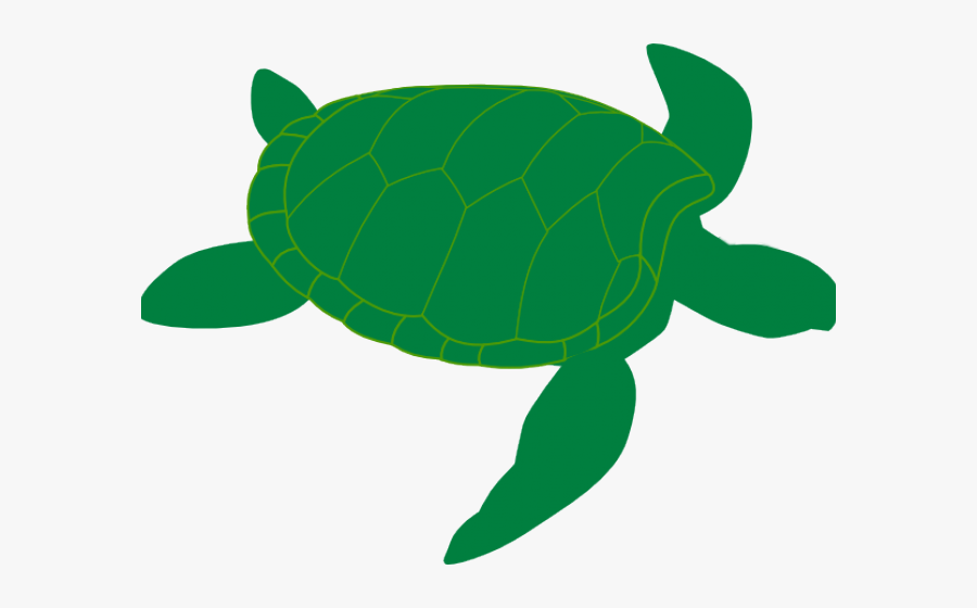 Transparent Hawaiian Sea Turtle Clipart - Swimming Turtle Clipart, Transparent Clipart