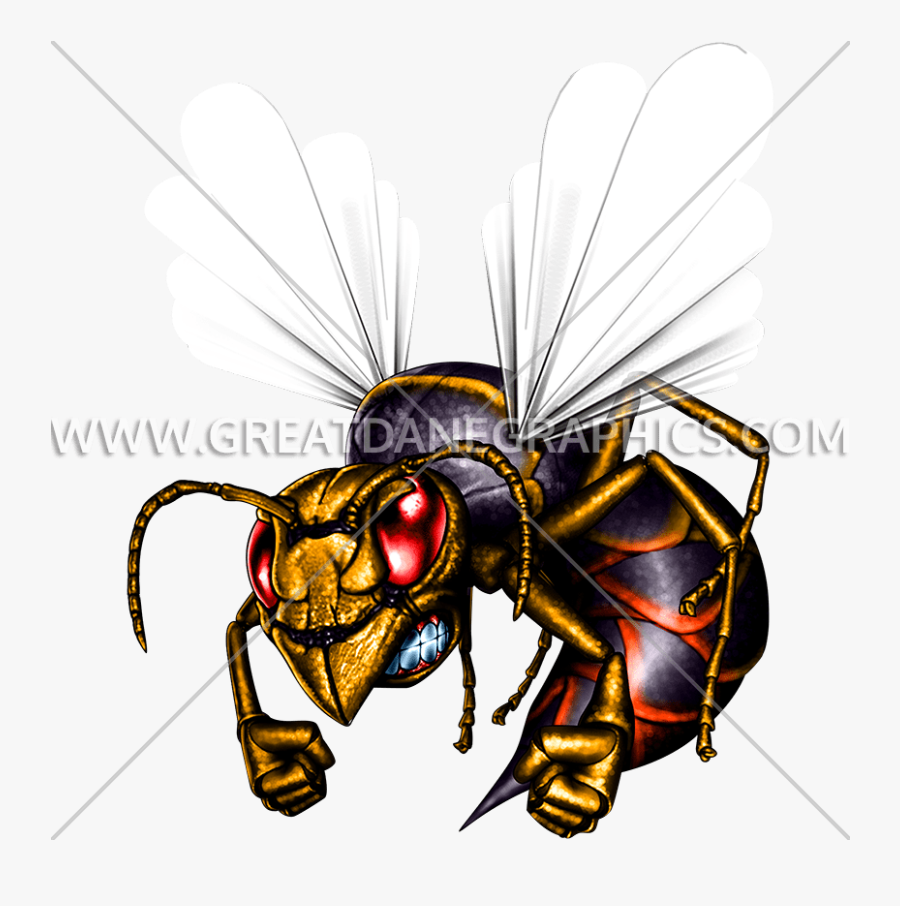 Transparent Wasp Clipart - Hornet Shirt, Transparent Clipart