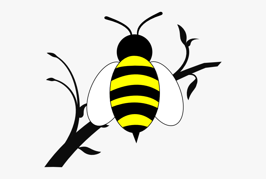 Clipart Black And White Branch Of Tree, Transparent Clipart