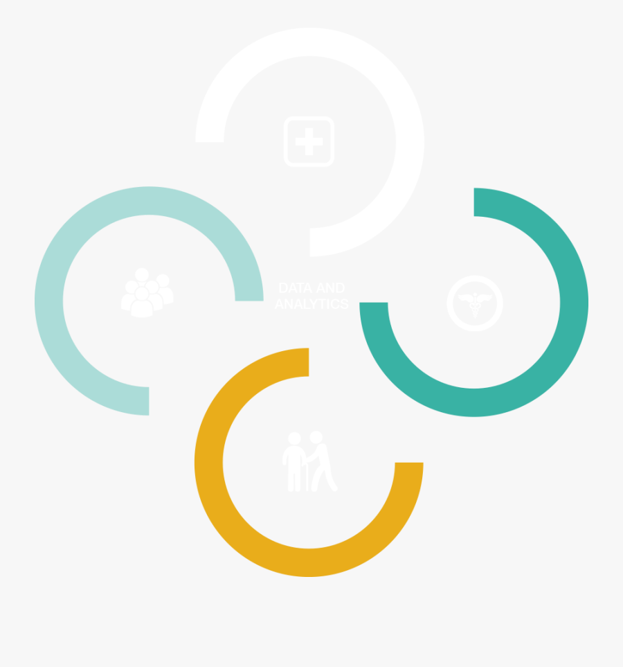 Patient And Member Engagement - Circle, Transparent Clipart