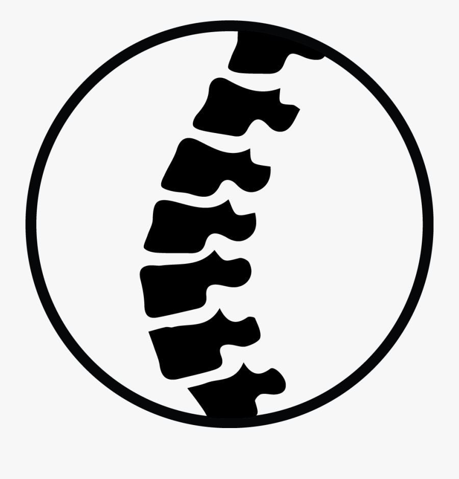 Spine - Chiropractor Clipart, Transparent Clipart