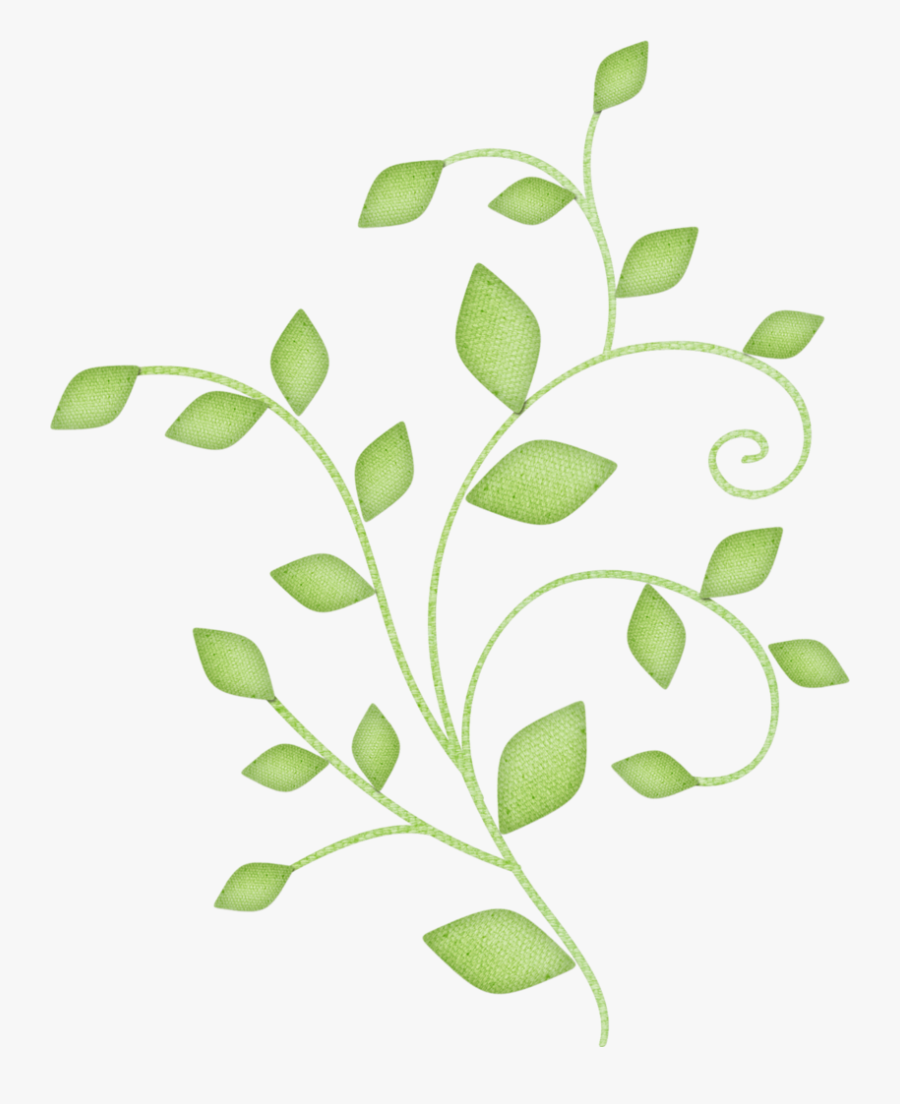 Vida É Preciso Saber Oferecer O Que V, Transparent Clipart