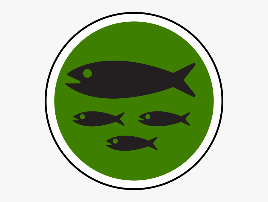 Fish Family, Transparent Clipart