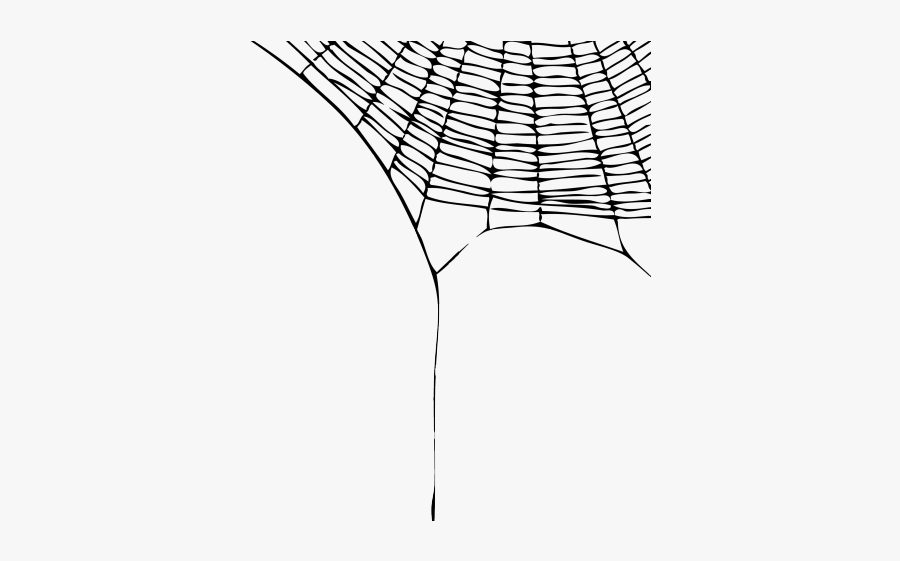 Spider Web Clipart - Realistic Spiderweb Transparent Background, Transparent Clipart