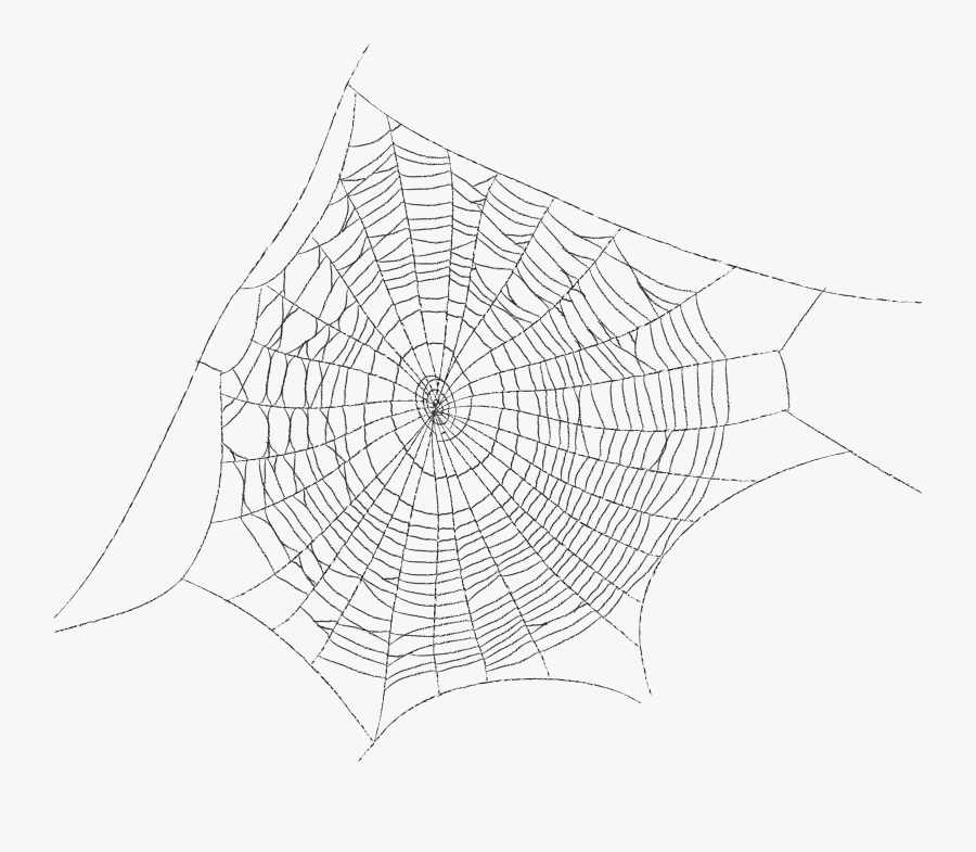 Spider Web Web Decoration - Teia De Aranha Png, Transparent Clipart