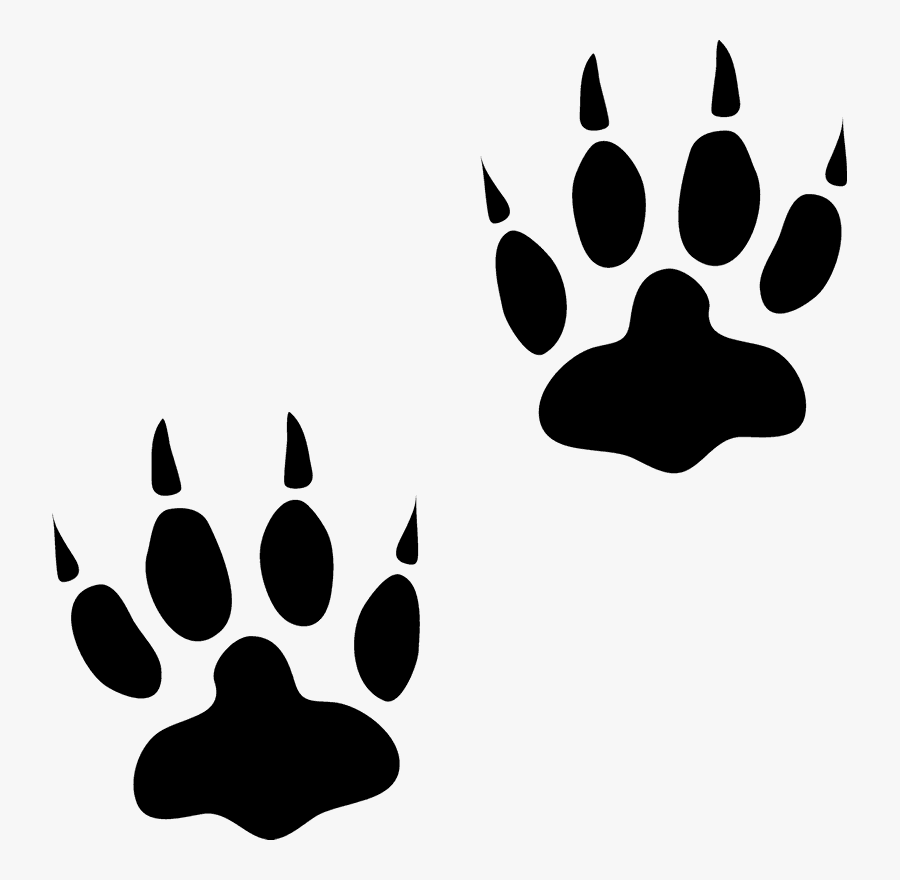 Transparent Bear Paw Print Png - Animal Track Clipart, Transparent Clipart