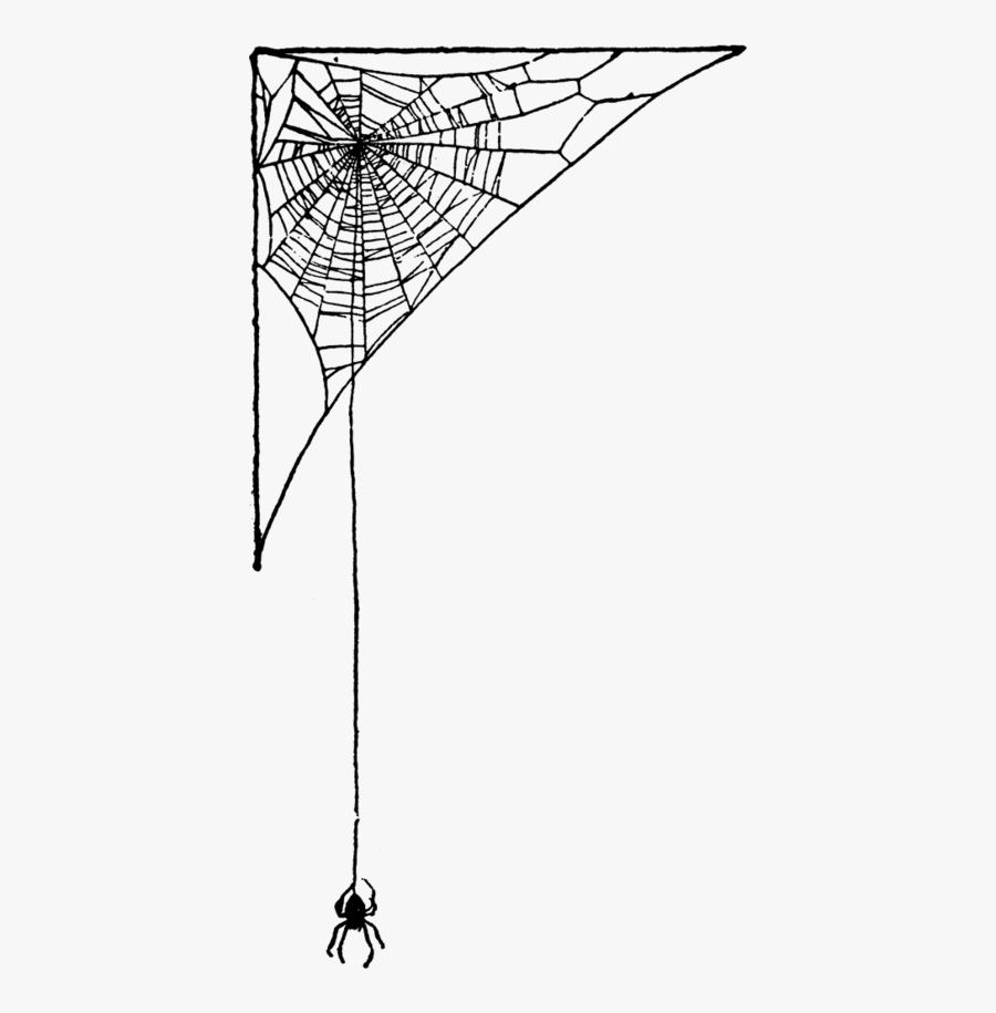 Index Of Images Thumb 2 22 Spider Web Png Birthday - Spider Web Border Transparent Background, Transparent Clipart