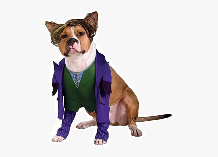 Clip Art Petcentral Chewy Com Joker - Villain Pet Costume, Transparent Clipart