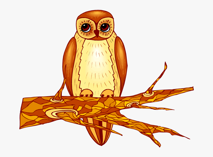 Clipart Owl, Transparent Clipart