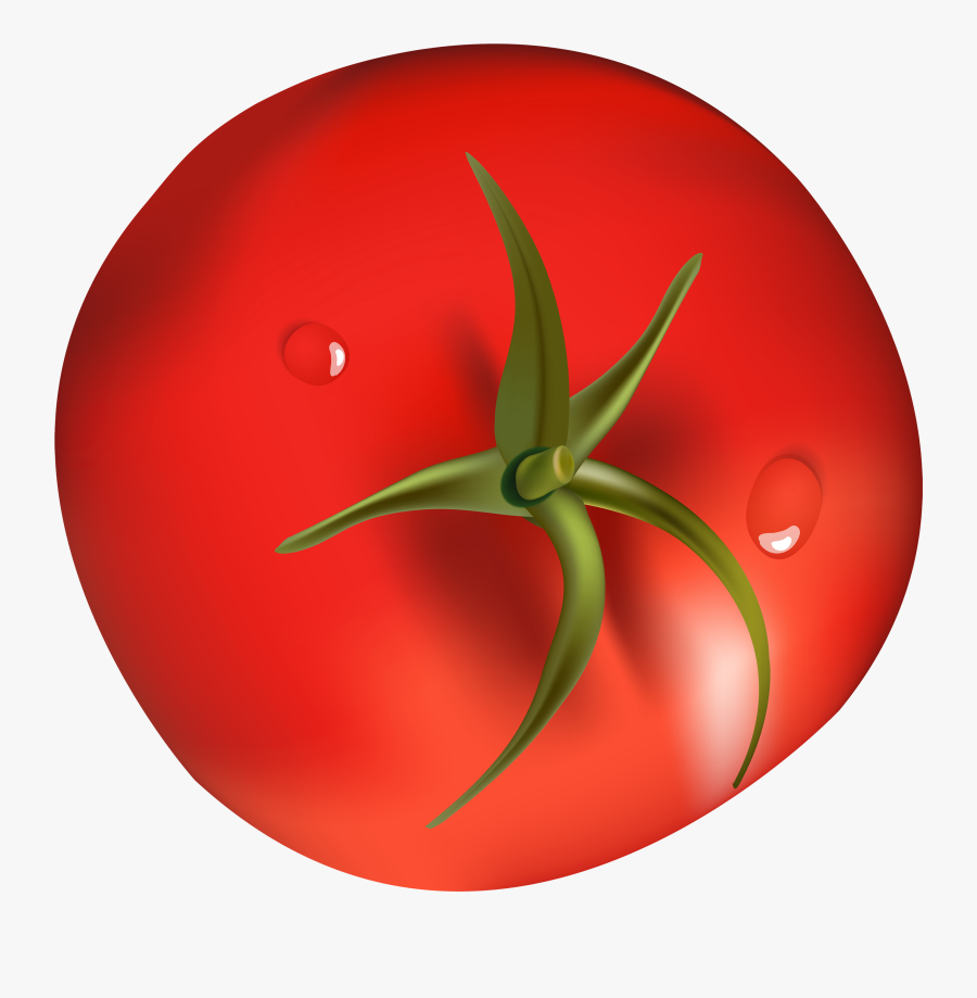 Tomato Png Clipart - Gloucester Road Tube Station, Transparent Clipart