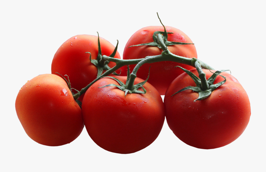 Tomatoes Clipart File - Tomato Png Transparent Background, Transparent Clipart