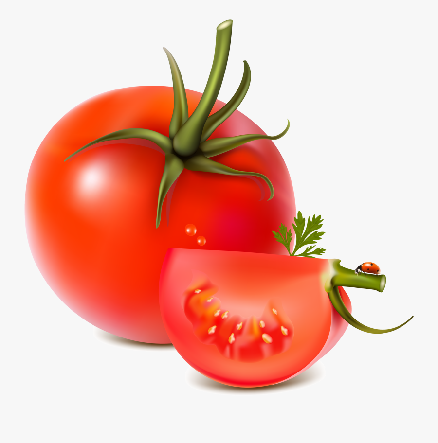 Tomato Clipart Transparent Background - Vector Fruits And Vegetables Png, Transparent Clipart