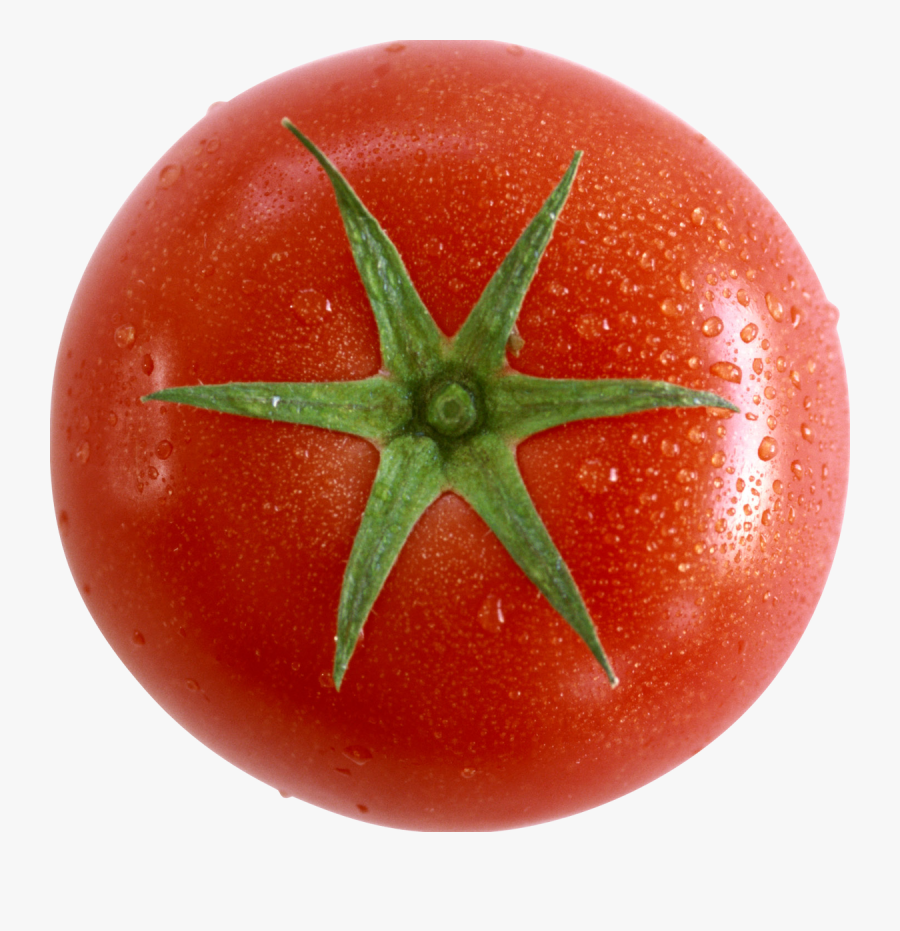 Clip Art Carolina Gold Tomato - Tomato, Transparent Clipart