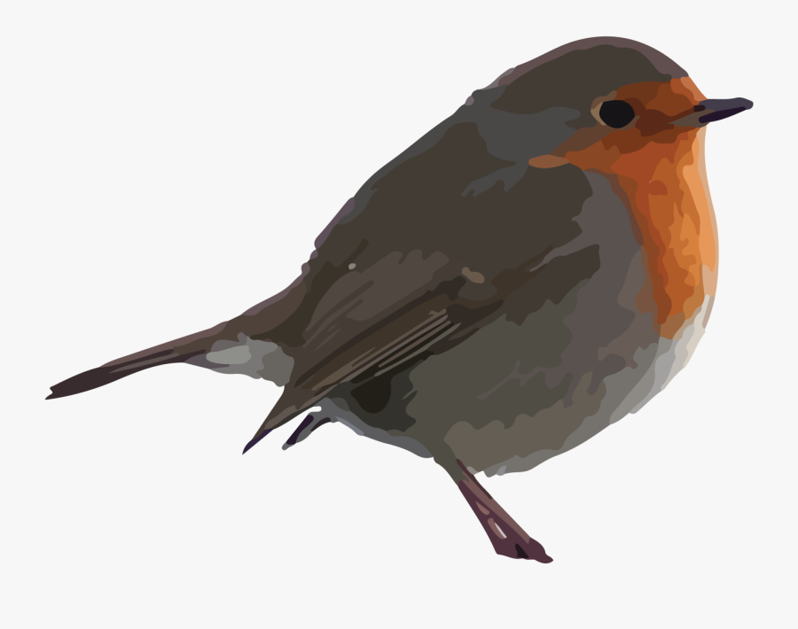 Robin Mckay - Transparent Robin Bird Png, Transparent Clipart