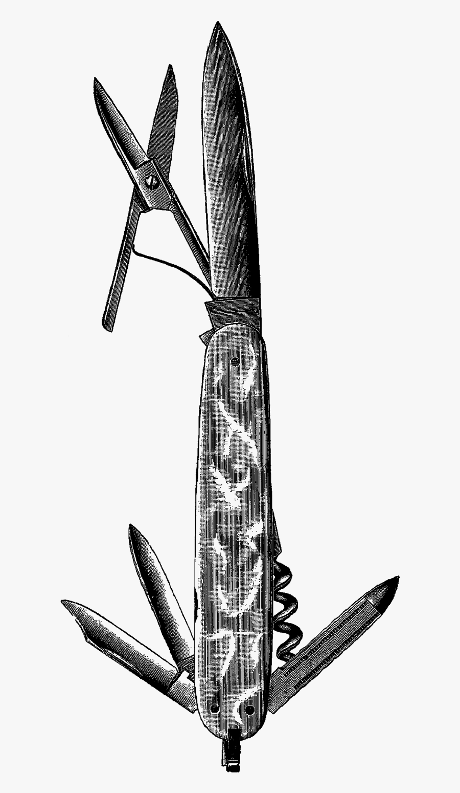 Monochrome, Transparent Clipart