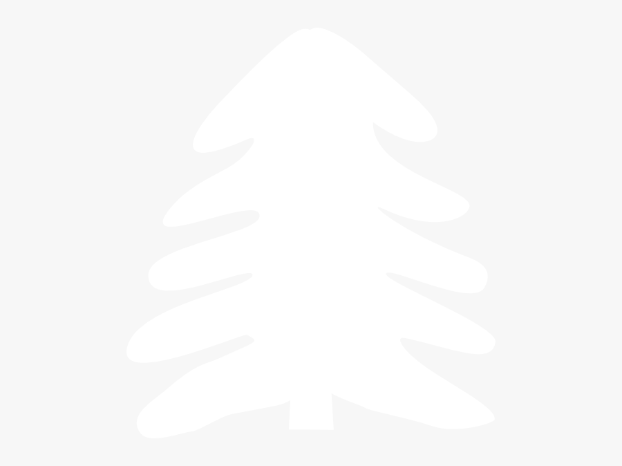 Colorado Spruce, Transparent Clipart