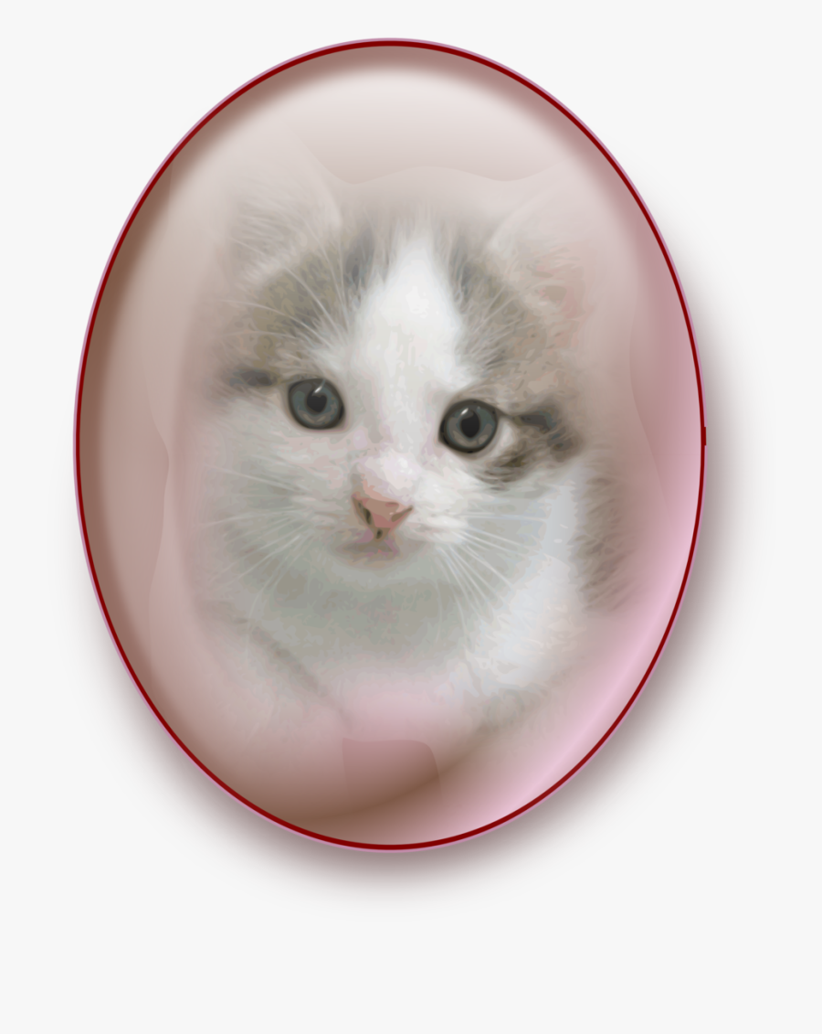 Calico Kitten, Transparent Clipart