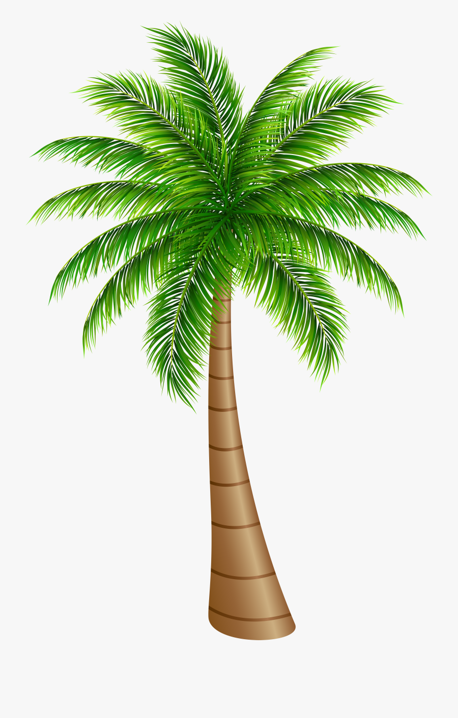 Palm Tree Clip Art, Transparent Clipart