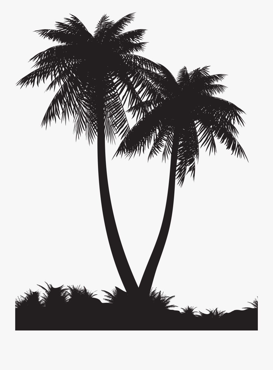 Palm Clipart Silhouette, Transparent Clipart