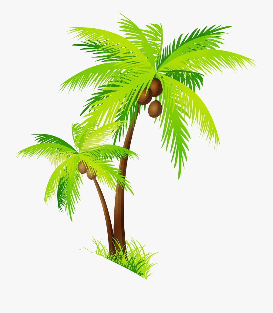 Clip Art Coconut Portable Network Graphics Palm Trees - Transparent Background Palm Tree Png, Transparent Clipart