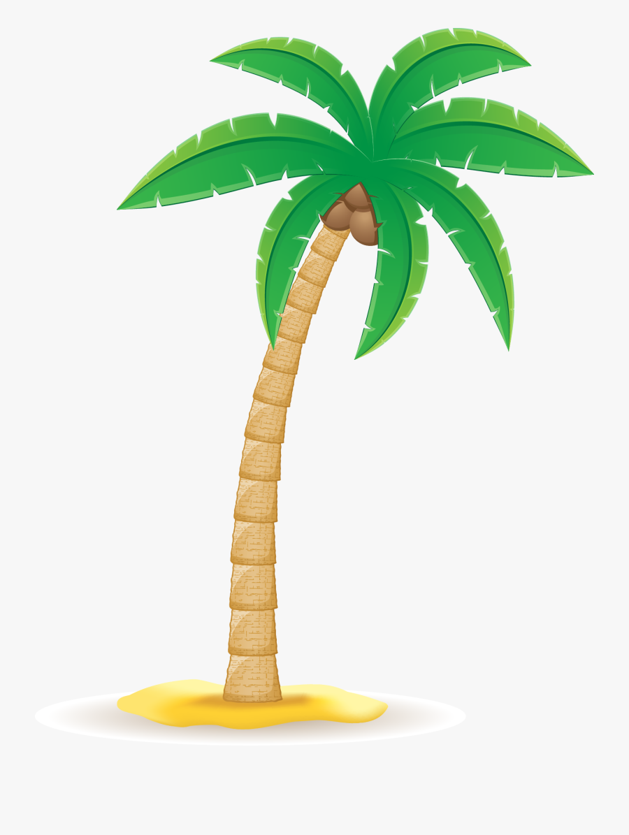 Transparent Palm Tree Leaf Clipart - Coconut Tree Vector Png, Transparent Clipart