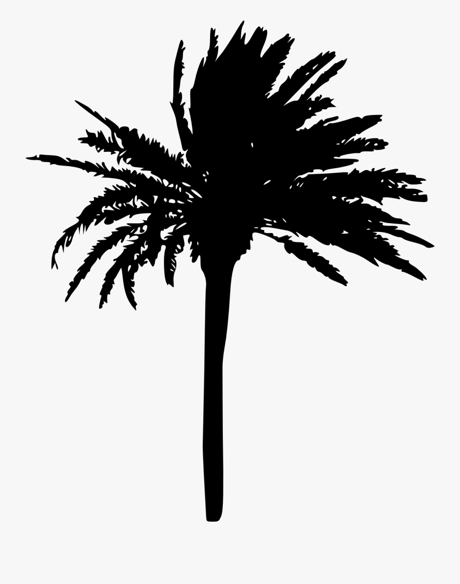 Clip Art Freeuse Stock Palm Tree Black And White Clipart - Palm Trees Silhouette Transparent, Transparent Clipart