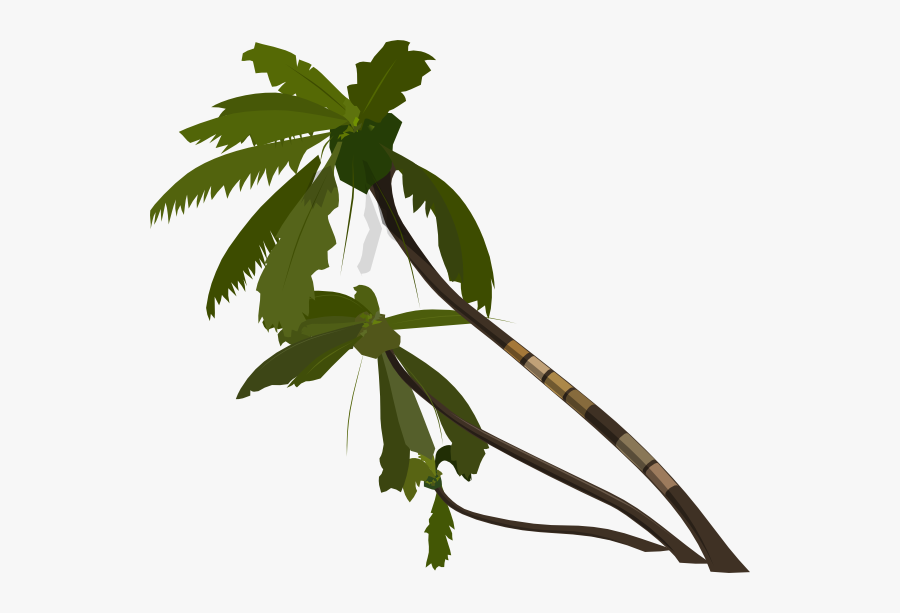 Palm Tree Clip Art, Transparent Clipart