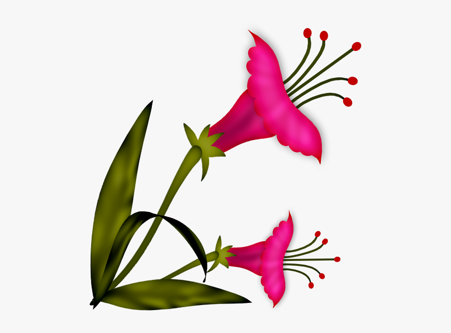 Flower, Transparent Clipart