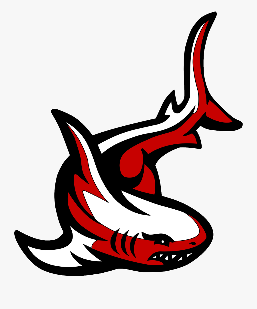 Chesterbrook Tiger Sharks Logo - Chesterbrook Tigersharks, Transparent Clipart
