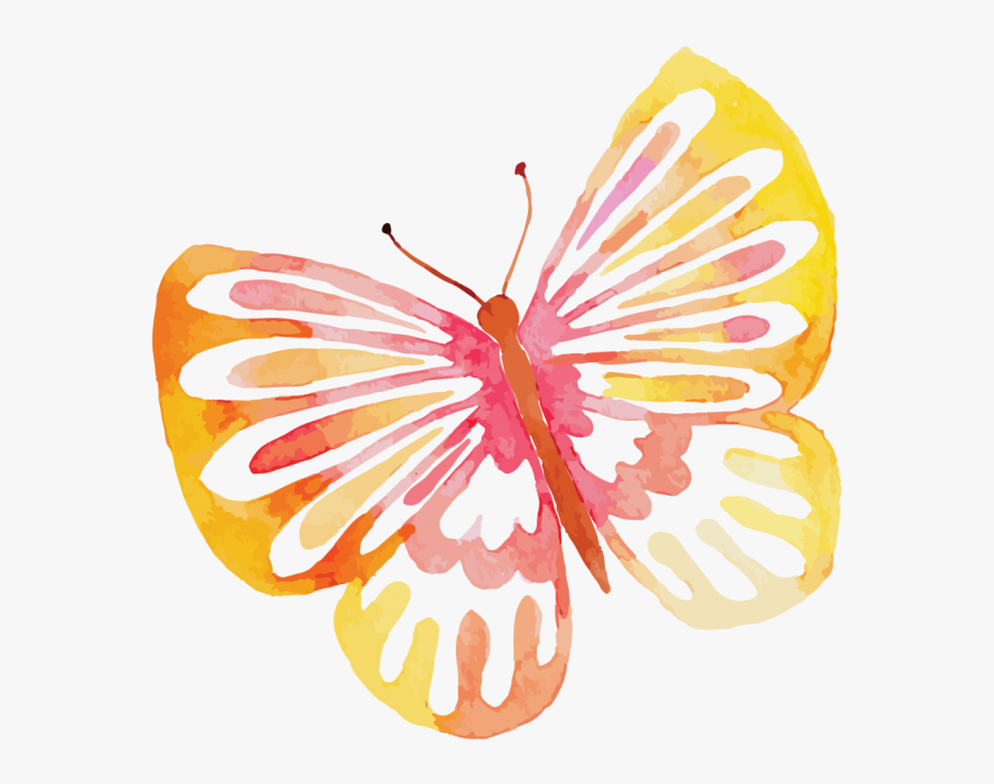 Butterfly Watercolor Free, Transparent Clipart