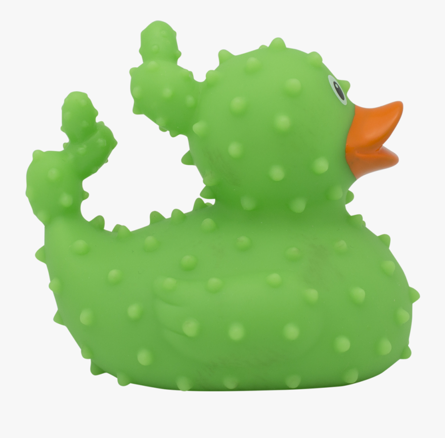Cactus Rubber Duck By Lilalu - Cactus Rubber Duck, Transparent Clipart