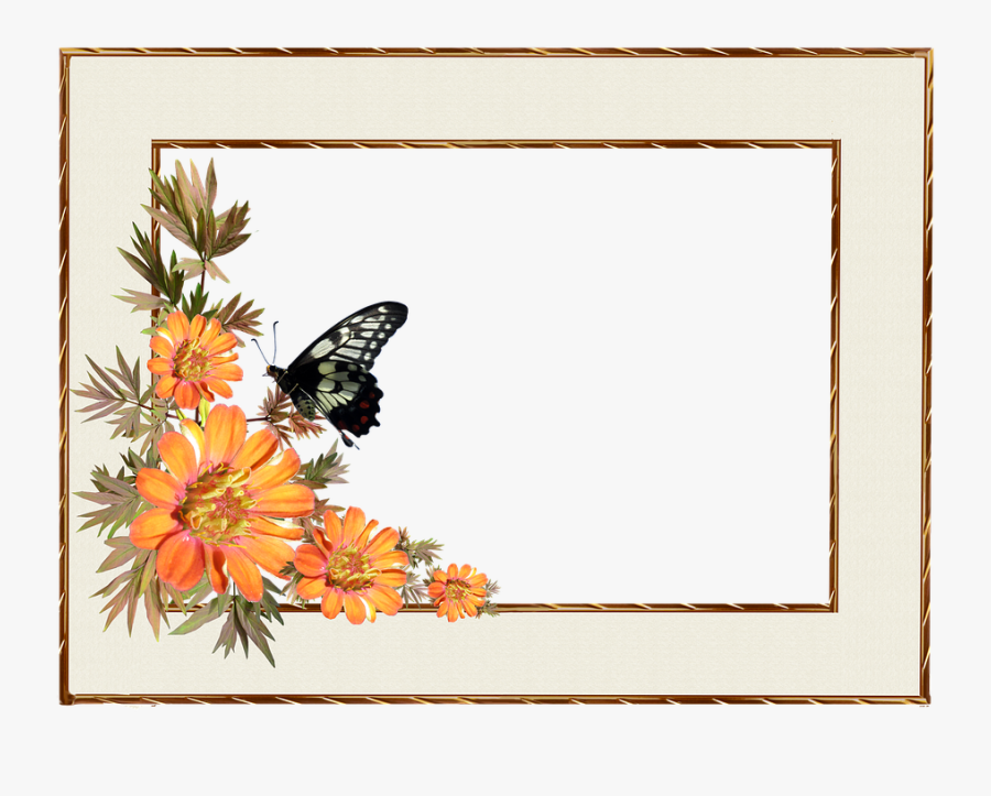 Frame, Border, Flowers, Butterfly, Decorative - Frame Border Design Butterfly, Transparent Clipart