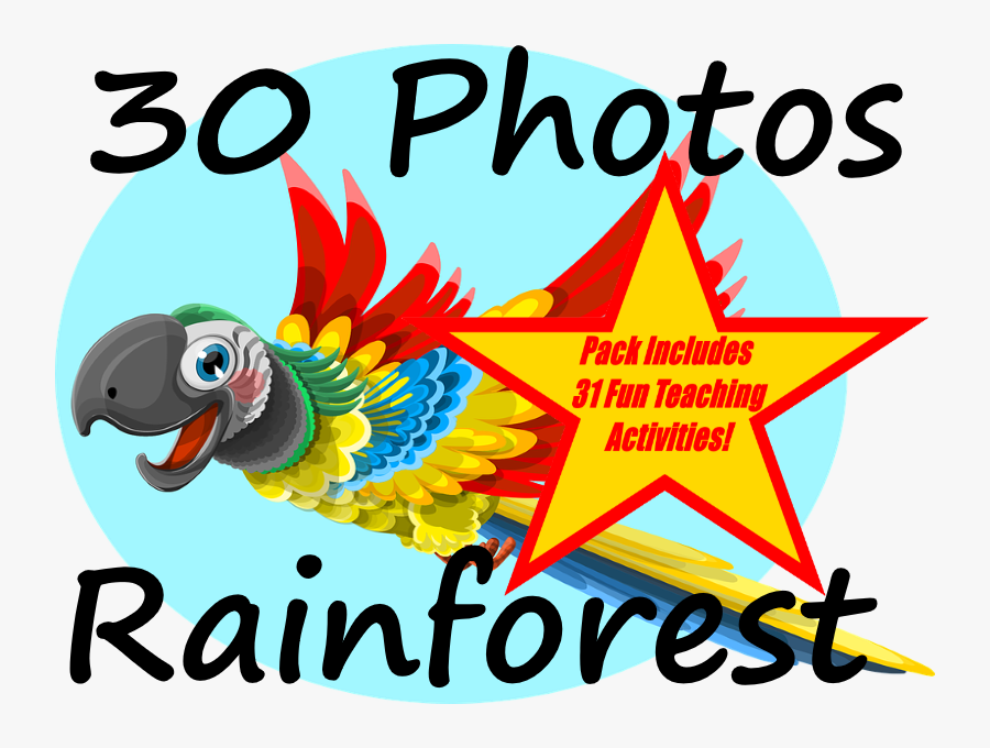 30 Photos Of The Amazon Rainforest 31 Fun Teaching - Cartoon, Transparent Clipart