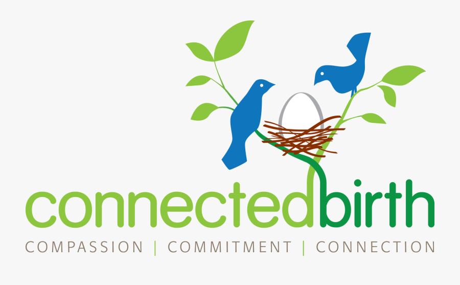 Connected Birth Virginia - Trinity Health Logo Png, Transparent Clipart